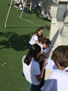 Observando y dibujando la naturaleza en Arts.