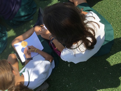 Observando y dibujando la naturaleza en Arts.