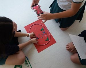 Trabajo trimestral alumnos 3º ESO: las fases de la Meiosis.