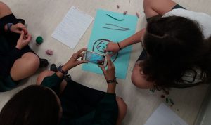Trabajo trimestral alumnos 3º ESO: las fases de la Meiosis.