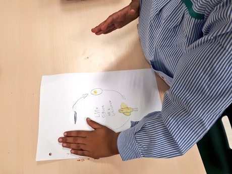 En 1º de Primaria aprenden el ciclo de la vida.