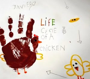 En 1º de Primaria aprenden el ciclo de la vida. 