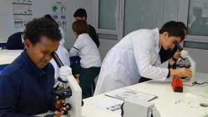 Big brother científico entre 4º de E.S.O. y 6º de Primaria. 
