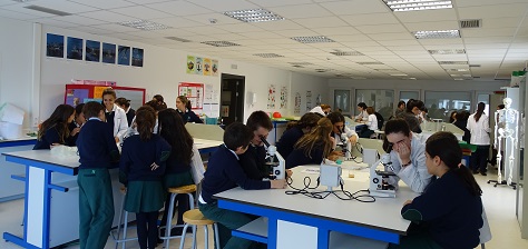 Big brother científico entre 4º de E.S.O. y 6º de Primaria.