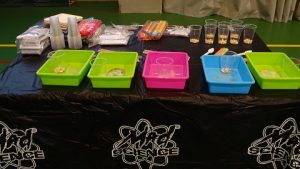 Semana de la Ciencia en Primaria