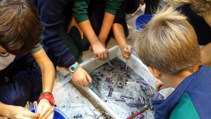 Semana de la Ciencia en Primaria