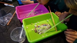 Semana de la Ciencia en Primaria