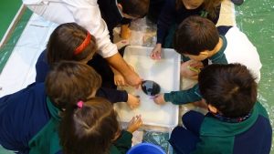 Semana de la Ciencia en Primaria