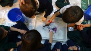 Semana de la Ciencia en Primaria