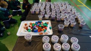 Semana de la Ciencia en Primaria