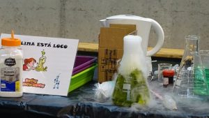 Semana de la Ciencia en Primaria