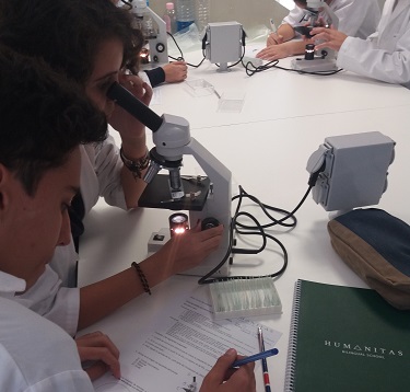 Aprendiendo a utilizar el microscopio con muestras de tejido en 3º E.S.O.