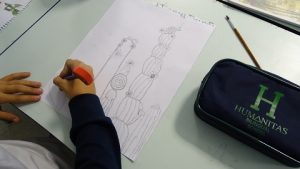 Dibujando cactus en 3º de Primaria. 