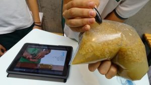 Semana de la Ciencia en Secundaria.