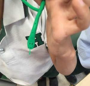 Reforzando conocimientos sobre reptiles en 1º de Primaria. 