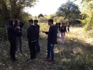 En Geografía de 2 Bach estamos entendiendo la distribución de las especies vegetales de España.