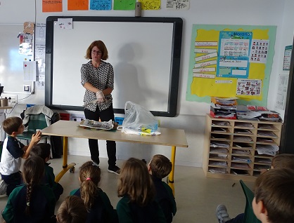 En 1º de Primaria los alumnos estudian los vertebrados.