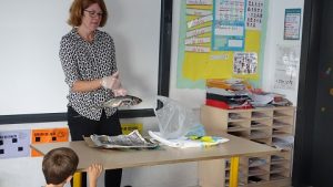 En 1º de Primaria los alumnos estudian los vertebrados.