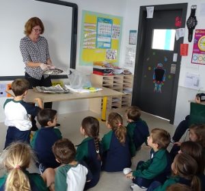 En 1º de Primaria los alumnos estudian los vertebrados.