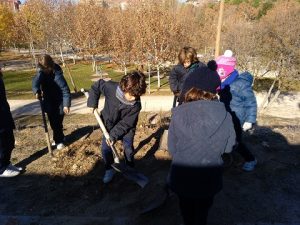 Los alumnos de 2º de Primaria plantan árboles en el Parque Central. 