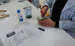 Cromatografía en 1º de Bachillerato.