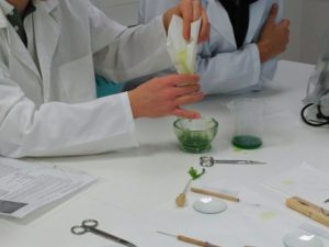 Cromatografía en 1º de Bachillerato.