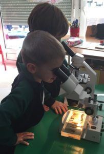 Proyecto sobre los dinosaurios en 2º de Infantil.