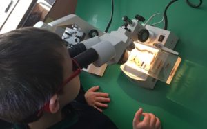 Proyecto sobre los dinosaurios en 2º de Infantil.