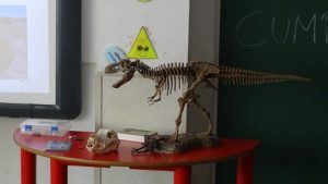 Proyecto sobre los dinosaurios en 2º de Infantil.