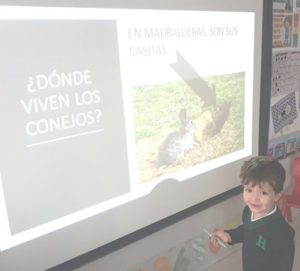 Proyecto Animales y animaladas en 1º de infantil.