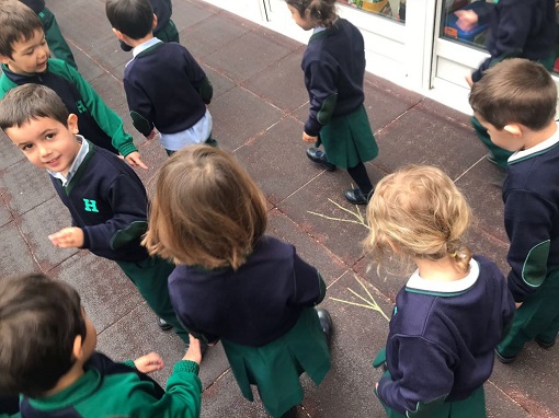 Proyecto Animales y animaladas en 1º de infantil.