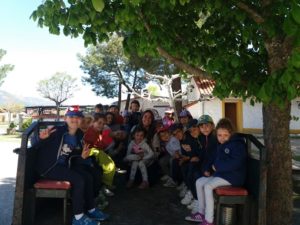 Diversión en la granja 