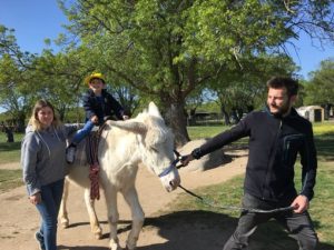 Diversión en la granja 