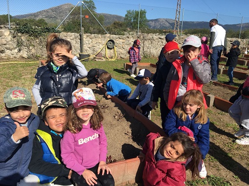 Diversión en la granja