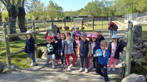 Diversión en la granja 