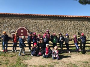 Diversión en la granja 