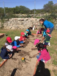 Diversión en la granja 