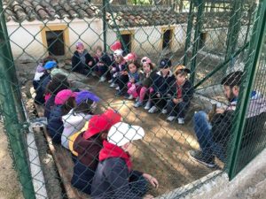 Diversión en la granja 