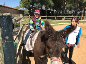 Diversión en la granja 