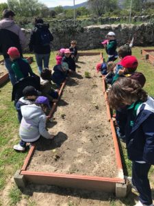 Alumnos de 2º y 3º de Infantil en la Granja Escuela