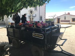 Alumnos de 2º y 3º de Infantil en la Granja Escuela
