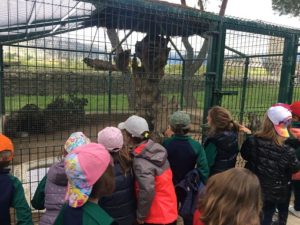 Alumnos de 2º y 3º de Infantil en la Granja Escuela