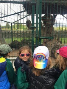 Alumnos de 2º y 3º de Infantil en la Granja Escuela