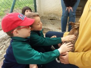 Alumnos de 2º y 3º de Infantil en la Granja Escuela