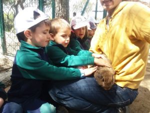 Alumnos de 2º y 3º de Infantil en la Granja Escuela