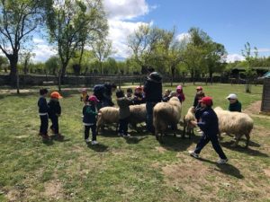 Alumnos de 2º y 3º de Infantil en la Granja Escuela