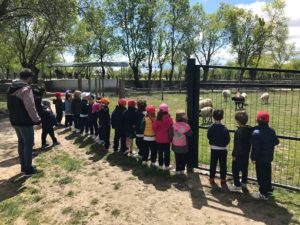 Alumnos de 2º y 3º de Infantil en la Granja Escuela