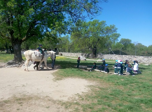 Nursery 2 en la Granja