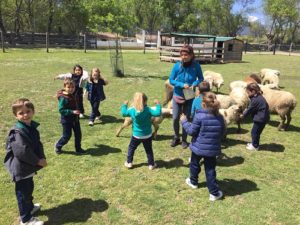Alumnos de 2º y 3º de Infantil en la Granja Escuela