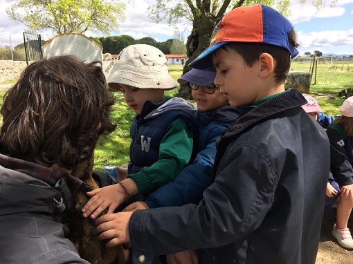 Alumnos de 2º y 3º de Infantil en la Granja Escuela